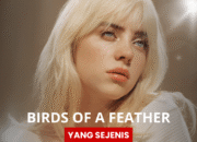 Lirik Lagu Billie Eilish – BIRDS OF A FEATHER dan Terjemahan